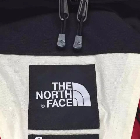 Supreme North Face Expedition Backpack TNF Red Papyrus Box Logo Limited - Picture 2 of 8
